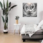 Preview: Weisser Schwan